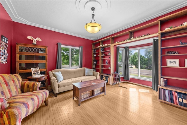 1001 N Ave, Luck, WI 54853 - photo 4