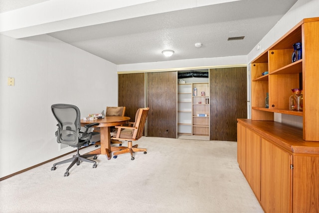 2304 Wildwood Trl, Minnetonka, MN 55305 - office featuring light carpet and a textured ceiling