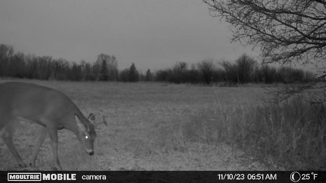 TBD County Road 4, Talmoon, MN 56637