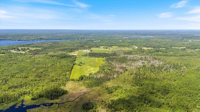 TBD County Road 4, Talmoon, MN 56637