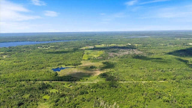 TBD County Road 4, Talmoon, MN 56637