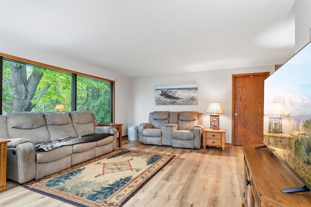 3864 Archie Dr SW, Alexandria, MN 56308 - living area featuring light wood-style flooring