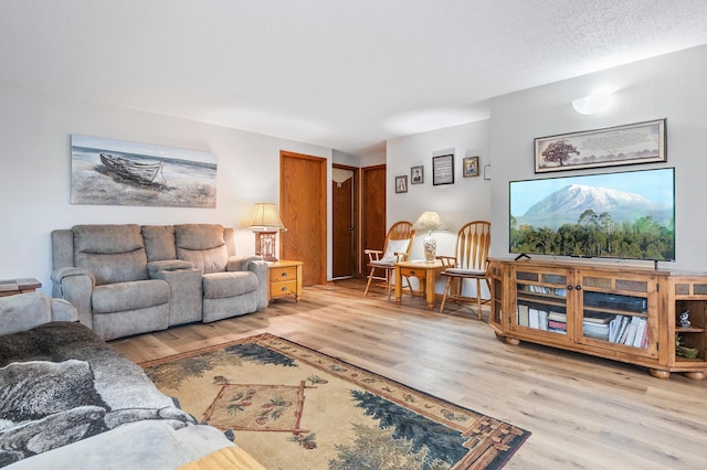 3864 Archie Dr SW, Alexandria, MN 56308 - living room with light wood-style floors