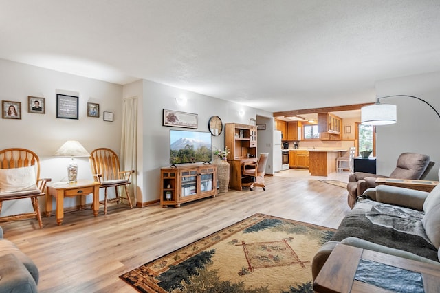 3864 Archie Dr SW, Alexandria, MN 56308 - living area featuring light wood-style floors and baseboards