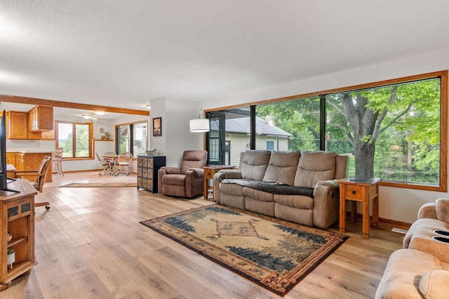 3864 Archie Dr SW, Alexandria, MN 56308 - living room with light wood-type flooring and baseboards