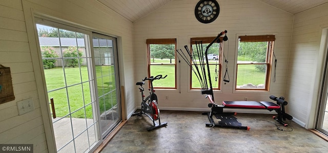 1470 Sims Rd NW, Oak Grove, MN 55011 - exercise area featuring vaulted ceiling and healthy amount of natural light