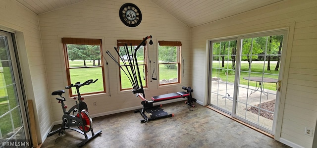 1470 Sims Rd NW, Oak Grove, MN 55011 - workout room featuring lofted ceiling and wooden walls