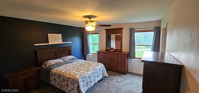 1470 Sims Rd NW, Oak Grove, MN 55011 - bedroom with carpet flooring, multiple windows, a textured ceiling, and a ceiling fan