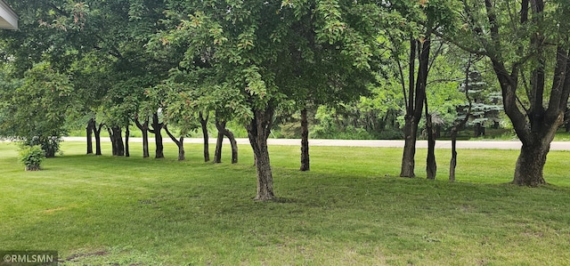 1470 Sims Rd NW, Oak Grove, MN 55011 - view of green lawn