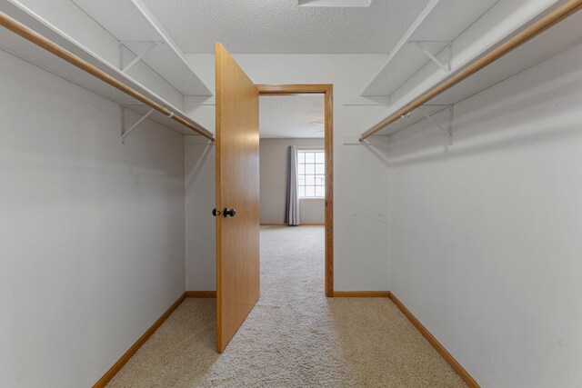 345 Roosevelt St S Unit C, Cambridge, MN 55008 - spacious closet featuring light carpet