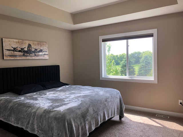 1009 188th St, Garfield Twp, WI 54009 - carpeted bedroom with baseboards