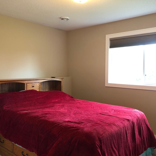 1009 188th St, Garfield Twp, WI 54009 - view of bedroom
