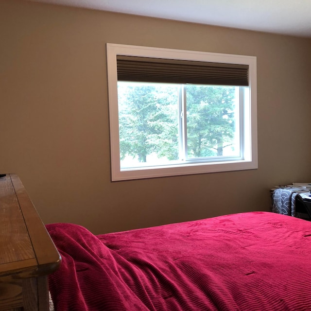 1009 188th St, Garfield Twp, WI 54009 - view of bedroom
