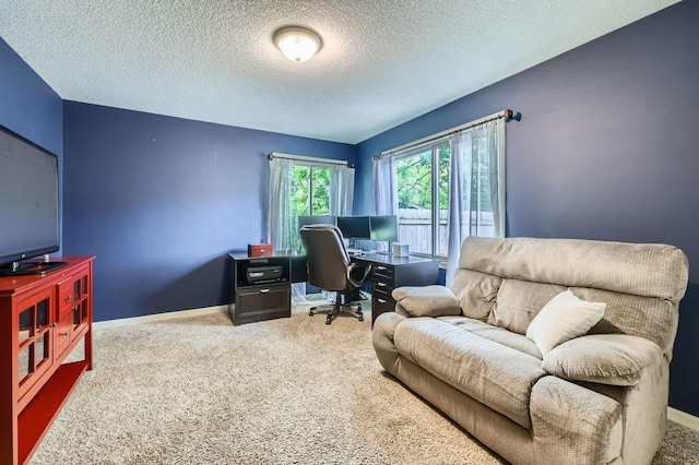 5112 Willow Ln, Minnetonka, MN 55345 - carpeted office with a textured ceiling and baseboards