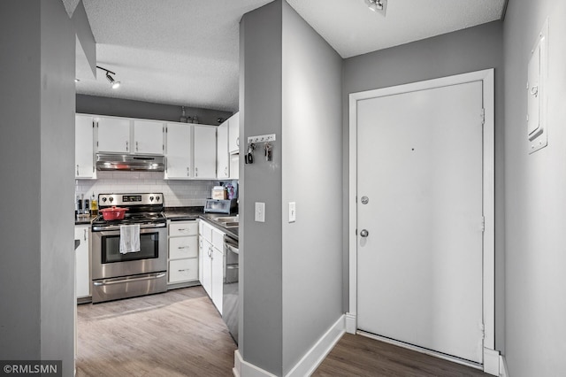 26 10th St W Unit 1409, Saint Paul, MN 55102 - kitchen with appliances with stainless steel finishes, under cabinet range hood, light wood-type flooring, dark countertops, and decorative backsplash