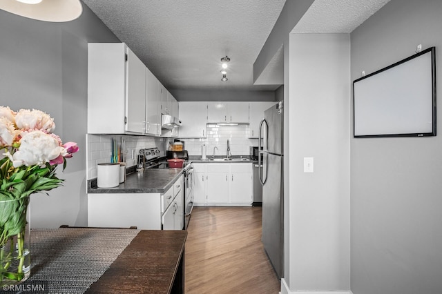 26 10th St W Unit 1409, Saint Paul, MN 55102 - kitchen featuring stainless steel appliances, under cabinet range hood, dark countertops, backsplash, and light wood-type flooring