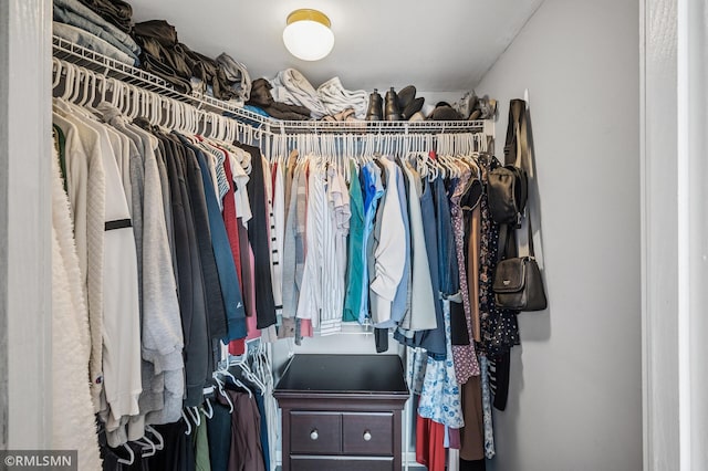 26 10th St W Unit 1409, Saint Paul, MN 55102 - view of walk in closet