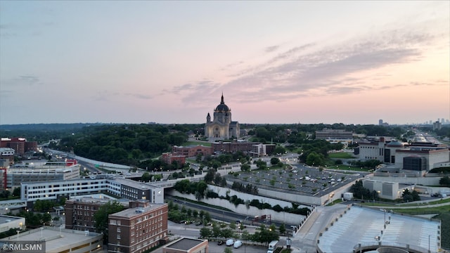 26 10th St W Unit 1409, Saint Paul, MN 55102 - city view