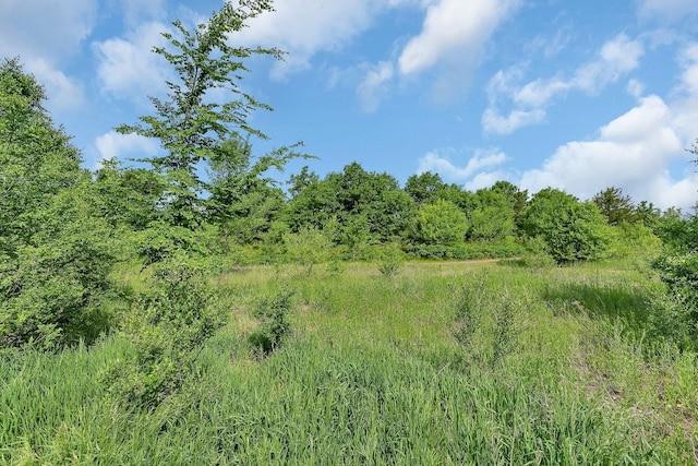 23974 185th St NW, Orrock Twp, MN 55309 - view of nature