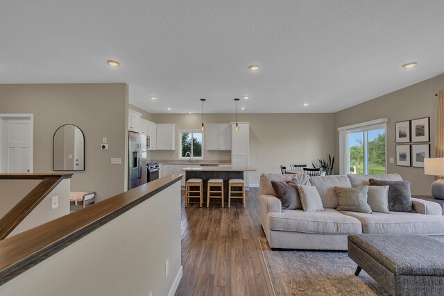 23974 185th St NW, Orrock Twp, MN 55309 - living area with dark wood-type flooring, healthy amount of natural light, and recessed lighting