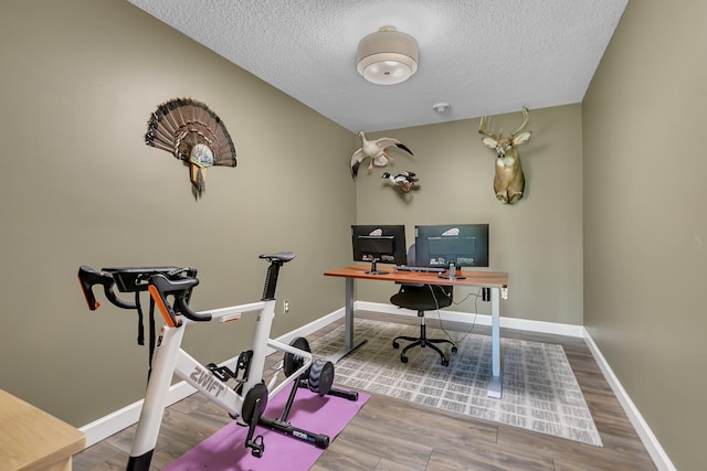 23974 185th St NW, Orrock Twp, MN 55309 - office with a textured ceiling and wood finished floors