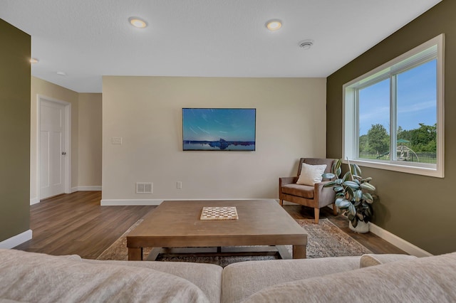 23974 185th St NW, Orrock Twp, MN 55309 - living area featuring wood finished floors and recessed lighting