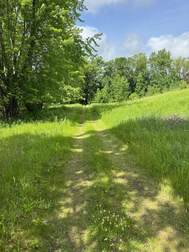 23974 185th St NW, Orrock Twp, MN 55309 - view of yard with a wooded view
