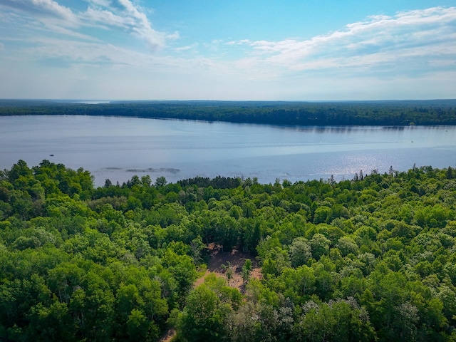39132 County 39, Laporte, MN 56461