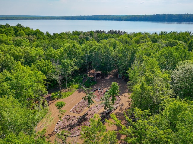 39132 County 39, Laporte, MN 56461