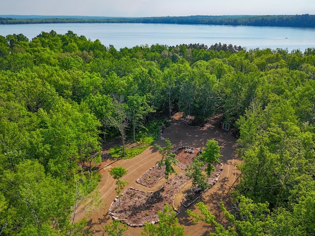 39132 County 39, Laporte, MN 56461