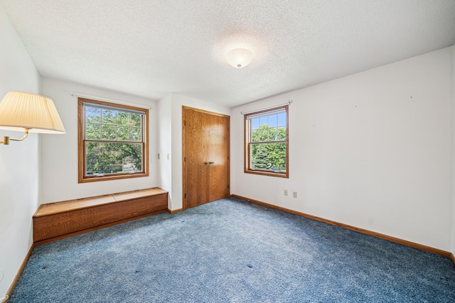 741 3rd St NE, Faribault, MN 55021 - unfurnished bedroom featuring carpet flooring and a textured ceiling