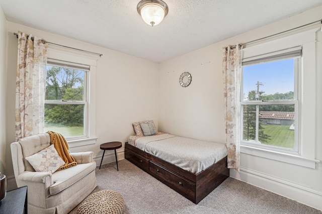 18160 Echo Ave, Faribault, MN 55021 - bedroom with carpet and a textured ceiling