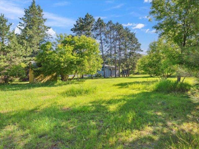 10995 Greenwood St, Brainerd, MN 56401 - photo 56