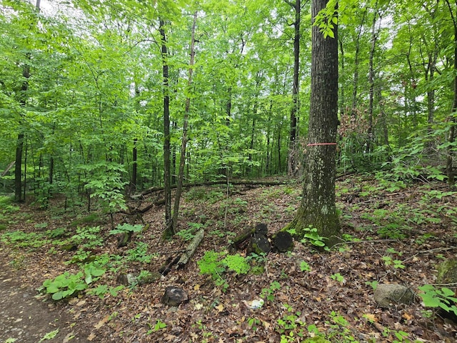 TBD Bollenbacher Rd, Brainerd, MN 56401