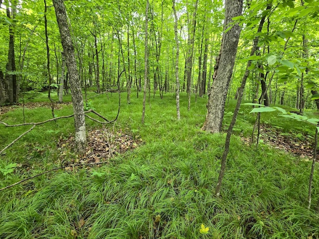 TBD Bollenbacher Rd, Brainerd, MN 56401