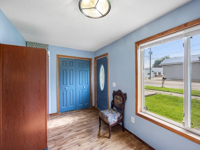 45 Oak Ave S, Maple Lake, MN 55358 - foyer entrance with wood finished floors and a textured ceiling