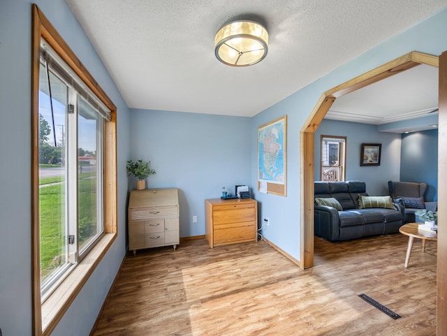 45 Oak Ave S, Maple Lake, MN 55358 - living area with wood finished floors, arched walkways, and a textured ceiling