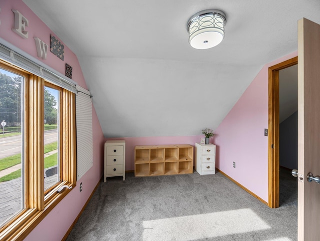 45 Oak Ave S, Maple Lake, MN 55358 - additional living space with lofted ceiling and carpet floors