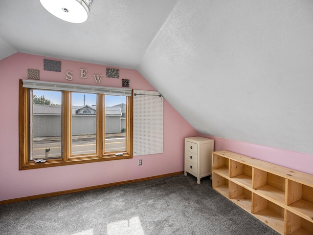 45 Oak Ave S, Maple Lake, MN 55358 - bonus room with lofted ceiling, carpet, and a textured ceiling