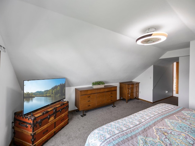 45 Oak Ave S, Maple Lake, MN 55358 - bedroom with vaulted ceiling and carpet floors