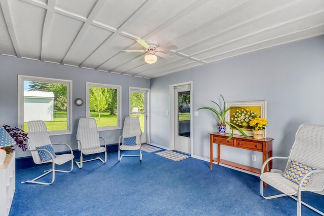 1204 20th Ave S, Moorhead, MN 56560 - view of sunroom