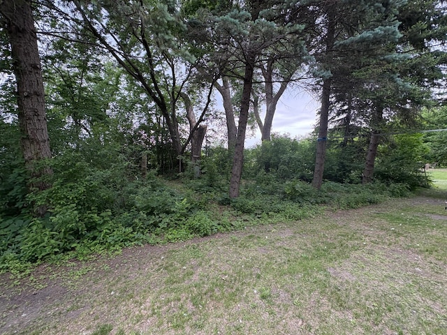 2105 Wisconsin Ave, Benson, MN 56215 - photo 11