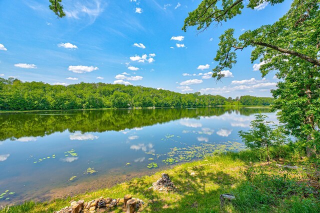 1994 80th St, Somerset, WI 54025 - water view with a heavily wooded area