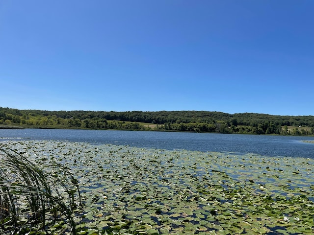 30667 Melanie Way, Collegeville Twp, MN 56374 - water view with a heavily wooded area