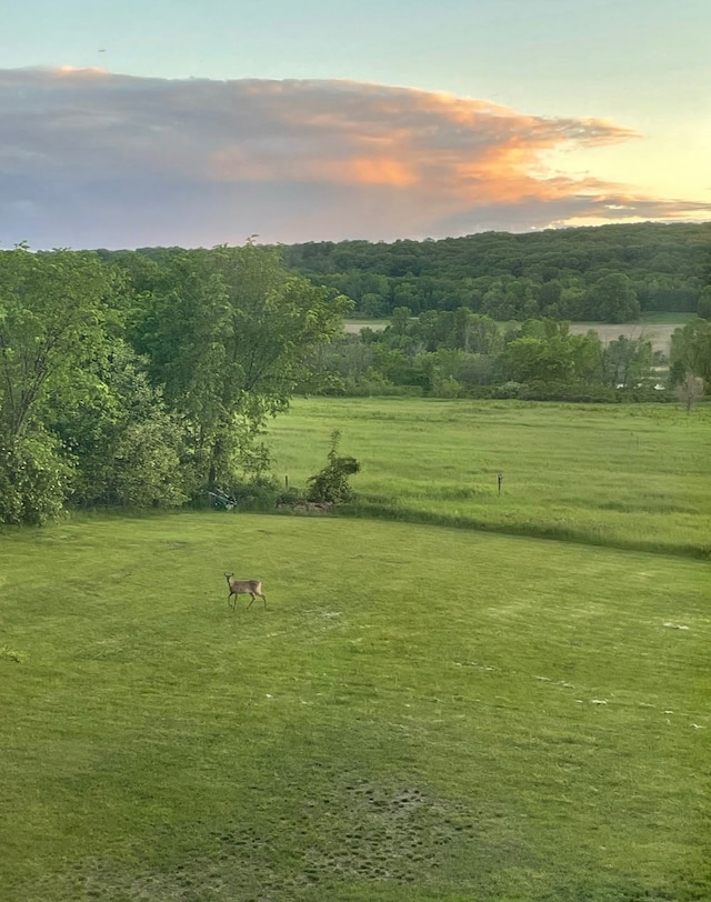 30667 Melanie Way, Collegeville Twp, MN 56374 - view of home's community with a view of rural / pastoral area and a yard