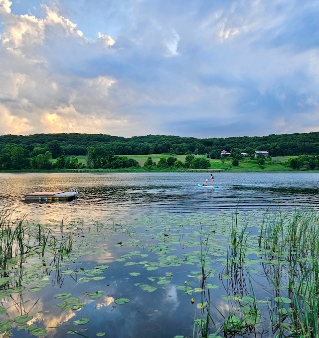 30667 Melanie Way, Collegeville Twp, MN 56374 - water view featuring a forest
