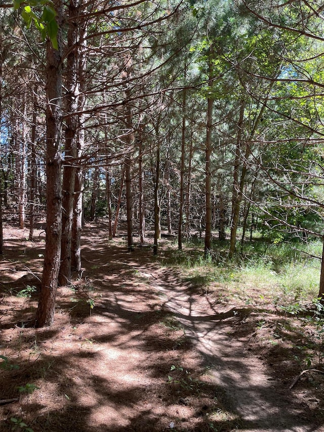 30667 Melanie Way, Collegeville Twp, MN 56374 - view of local wilderness