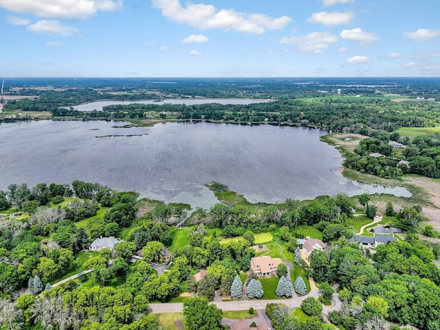 6033 Sargent Ct N, Lino Lakes, MN 55110 - aerial view of property's location featuring a nearby body of water