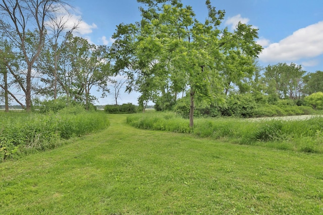 6033 Sargent Ct N, Lino Lakes, MN 55110 - view of yard