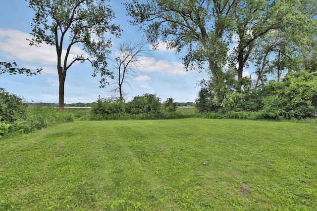 6033 Sargent Ct N, Lino Lakes, MN 55110 - view of grassy yard